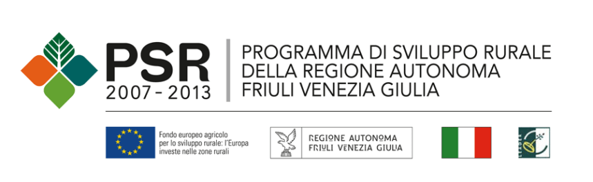 loghi_programmasvilupporegionale2007